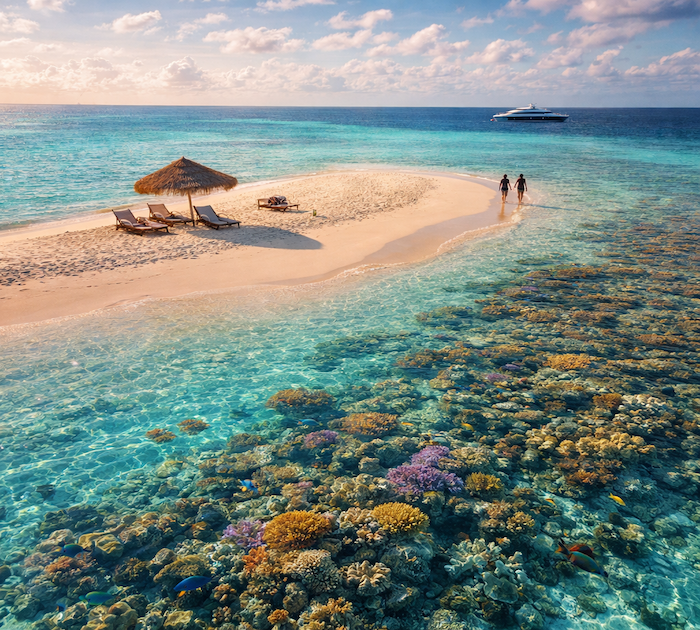 Sandbank and Maldives Reef