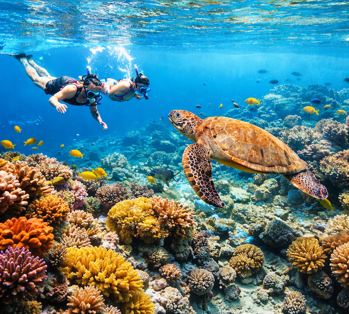 Snorkeling sulla barriera corallina dell'atollo di Vaavu