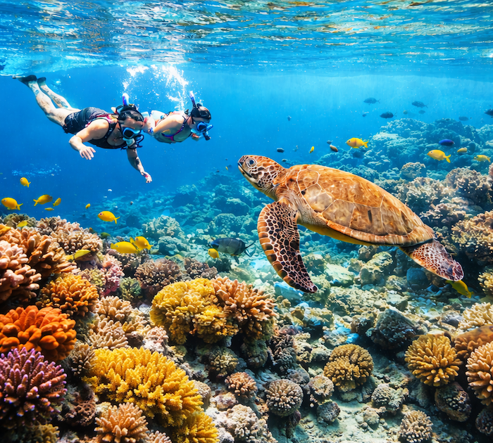 Snorkeling sulla barriera corallina dell'atollo di Vaavu
